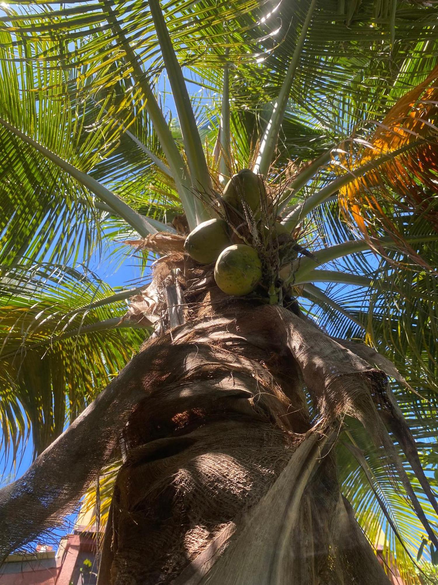Fabuleuse Villa Keur Bibou Dakar Exteriér fotografie